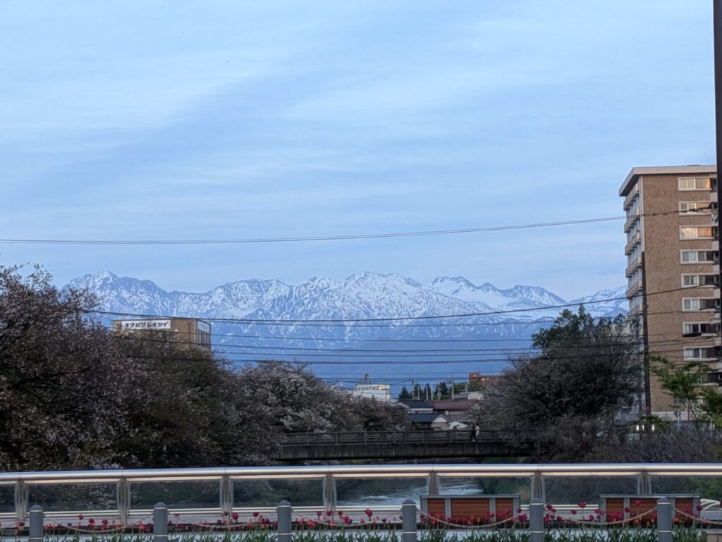 いたち川付近